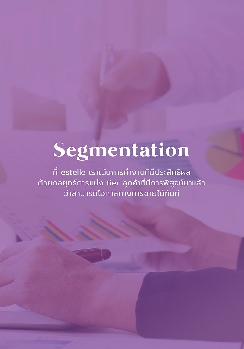 our service - 2.segmentation (mobile)